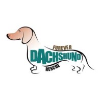 Furever dachshund rescue