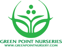 Green point nurseries