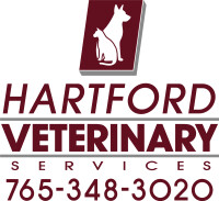 Hartford animal hospital