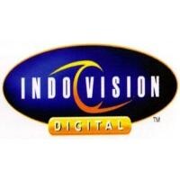 PT. MNC Sky Vision ( Indovision )