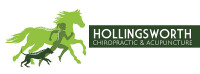 Hollingsworth chiropractic & acupuncture, inc.