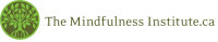 Integrated mindfulness institute