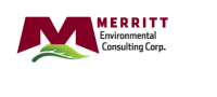 Merritt consulting