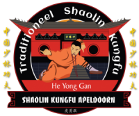 Shaolin martial arts
