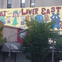 Lower east side history project