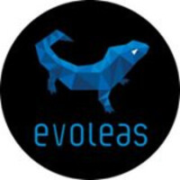 Evoleas (Formerly known as Sapna Solutions)