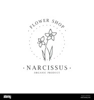 Narcissus hair salon