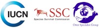 Iucn-ssc otter specialist group