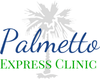 Palmetto express