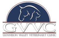 Shenandoah valley veterinary