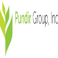 Pundir group