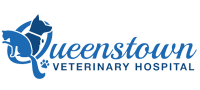 Queenstown veterinary hospital