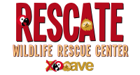 Rescate wildlife rescue center