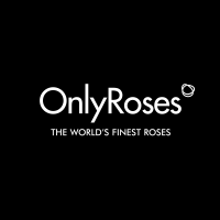 Roses only