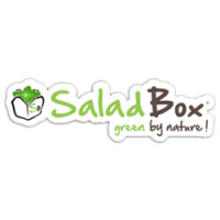 Salad box us