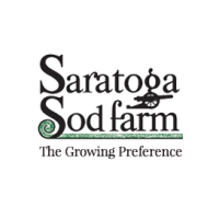 Saratoga sod farm