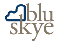Skye blue consulting