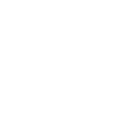D&S Professional Services, LLC