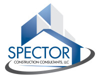 Spector consulting