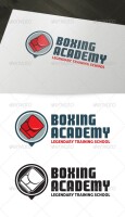 The boxing academy