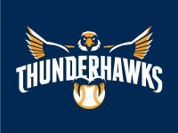 Thunderhawk collectables