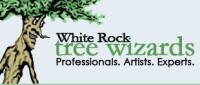 White rock tree wizards