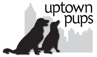 Uptown pup dc