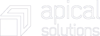 Apical IT Solutions