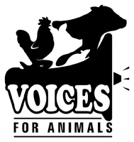Voices for animals