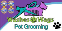 Wash n wags pet grooming