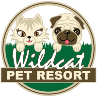 Wildcat pet resort