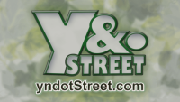 Wyndotte street presents (yndotstreet.com)