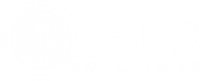 Zeus solutions