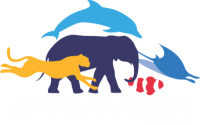 Zooceanarium group