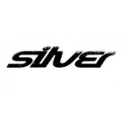 Silver Agency