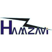 Hamzavi consultancy company