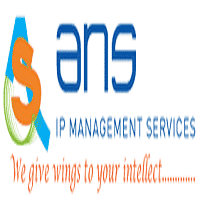 Ans ip management services