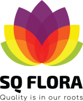 Flora exports