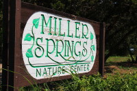 Miller Springs