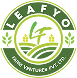 Leafyo farm ventures