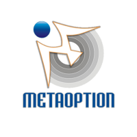 MetaOption LLC