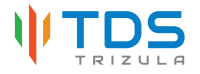 Trizula digital solutions pvt ltd