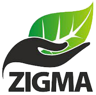 Zigma solutions - india