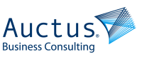 Auctus business consulting