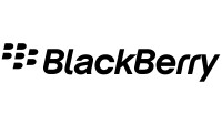 Blackberryinsight