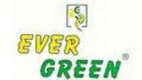 Ever green hosiery - india