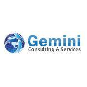 Gemini 5 technology consultant firm
