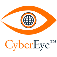 Hybrid cyber solution - india