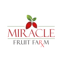 Miracle fruit mn
