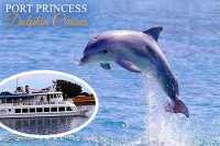 Port princess dolphin cruises